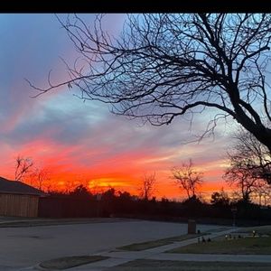 Meet your Posher, Tannu